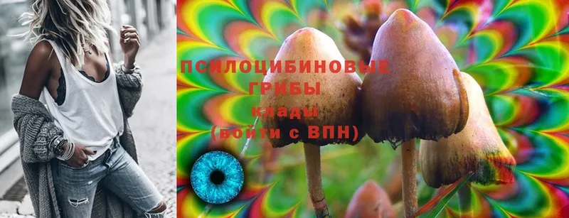 как найти наркотики  Еманжелинск  Галлюциногенные грибы MAGIC MUSHROOMS 